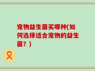 宠物益生菌买哪种(如何选择适合宠物的益生菌？)