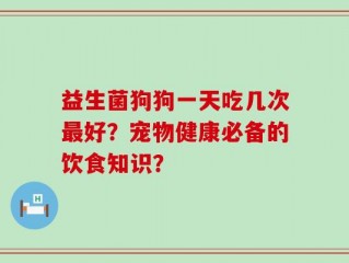 益生菌狗狗一天吃几次最好？宠物健康必备的饮食知识？