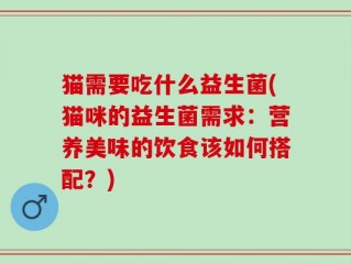猫需要吃什么益生菌(猫咪的益生菌需求：营养美味的饮食该如何搭配？)