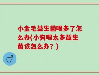 小金毛益生菌喝多了怎么办(小狗喝太多益生菌该怎么办？)