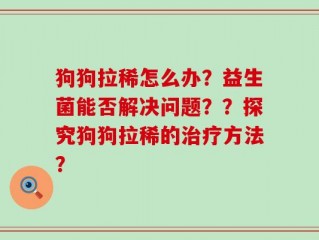 狗狗拉稀怎么办？益生菌能否解决问题？？探究狗狗拉稀的治疗方法？