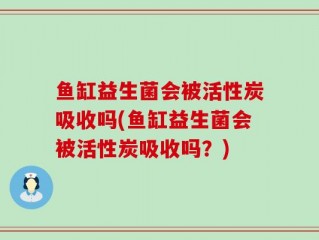 鱼缸益生菌会被活性炭吸收吗(鱼缸益生菌会被活性炭吸收吗？)