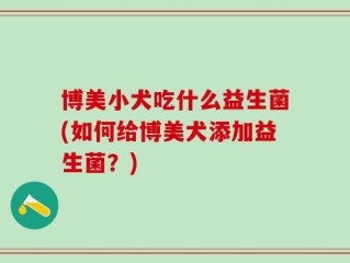 博美小犬吃什么益生菌(如何给博美犬添加益生菌？)