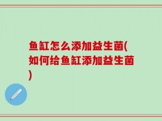 鱼缸怎么添加益生菌(如何给鱼缸添加益生菌)