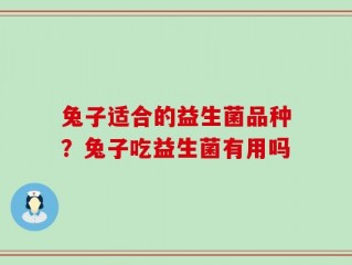 兔子适合的益生菌品种？兔子吃益生菌有用吗