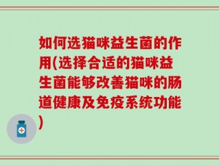 如何选猫咪益生菌的作用(选择合适的猫咪益生菌能够改善猫咪的肠道健康及免疫系统功能)