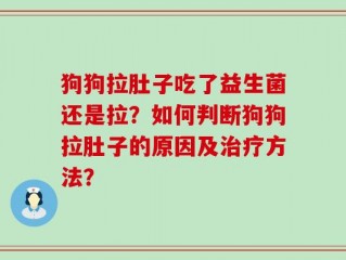 狗狗拉肚子吃了益生菌还是拉？如何判断狗狗拉肚子的原因及治疗方法？