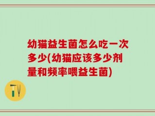 幼猫益生菌怎么吃一次多少(幼猫应该多少剂量和频率喂益生菌)