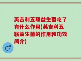 英吉利五联益生菌吃了有什么作用(英吉利五联益生菌的作用和功效简介)