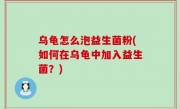 乌龟怎么泡益生菌粉(如何在乌龟中加入益生菌？)