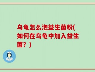 乌龟怎么泡益生菌粉(如何在乌龟中加入益生菌？)