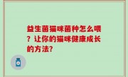 益生菌猫咪菌种怎么喂？让你的猫咪健康成长的方法？