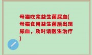 母猫吃完益生菌尿血(母猫食用益生菌后出现尿血，及时请医生治疗)
