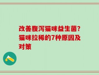 改善腹泻猫咪益生菌？猫咪拉稀的7种原因及对策