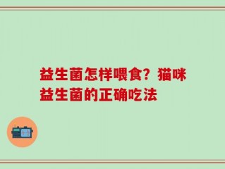 益生菌怎样喂食？猫咪益生菌的正确吃法