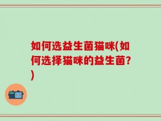如何选益生菌猫咪(如何选择猫咪的益生菌？)