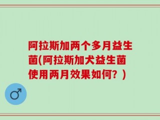 阿拉斯加两个多月益生菌(阿拉斯加犬益生菌使用两月效果如何？)