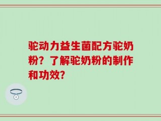 驼动力益生菌配方驼奶粉？了解驼奶粉的制作和功效？