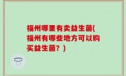 福州哪里有卖益生菌(福州有哪些地方可以购买益生菌？)