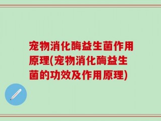 宠物消化酶益生菌作用原理(宠物消化酶益生菌的功效及作用原理)