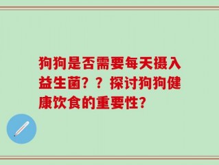 狗狗是否需要每天摄入益生菌？？探讨狗狗健康饮食的重要性？