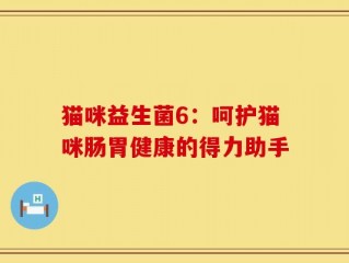 猫咪益生菌6：呵护猫咪肠胃健康的得力助手