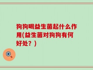 狗狗喝益生菌起什么作用(益生菌对狗狗有何好处？)