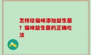 怎样给猫咪添加益生菌？猫咪益生菌的正确吃法