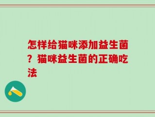 怎样给猫咪添加益生菌？猫咪益生菌的正确吃法