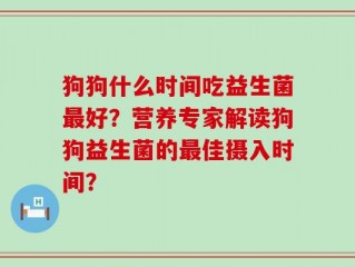 狗狗什么时间吃益生菌最好？营养专家解读狗狗益生菌的最佳摄入时间？