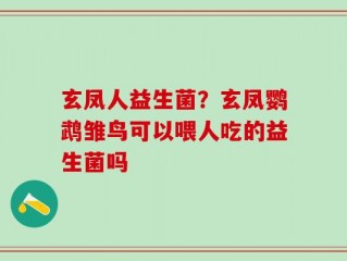 玄凤人益生菌？玄凤鹦鹉雏鸟可以喂人吃的益生菌吗