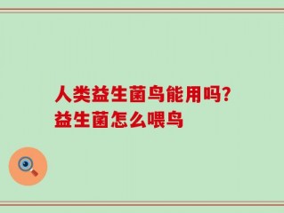 人类益生菌鸟能用吗？益生菌怎么喂鸟