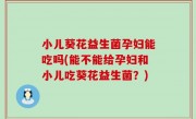 小儿葵花益生菌孕妇能吃吗(能不能给孕妇和小儿吃葵花益生菌？)