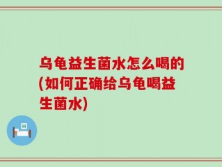 乌龟益生菌水怎么喝的(如何正确给乌龟喝益生菌水)