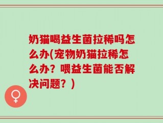 奶猫喝益生菌拉稀吗怎么办(宠物奶猫拉稀怎么办？喂益生菌能否解决问题？)