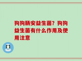 狗狗肠安益生菌？狗狗益生菌有什么作用及使用注意