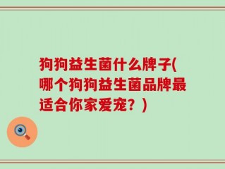 狗狗益生菌什么牌子(哪个狗狗益生菌品牌最适合你家爱宠？)