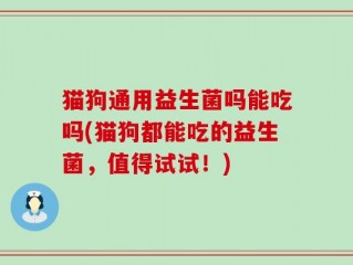 猫狗通用益生菌吗能吃吗(猫狗都能吃的益生菌，值得试试！)