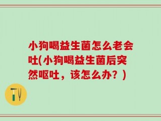 小狗喝益生菌怎么老会吐(小狗喝益生菌后突然呕吐，该怎么办？)