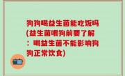 狗狗喝益生菌能吃饭吗(益生菌喂狗前要了解：喝益生菌不能影响狗狗正常饮食)