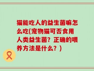 猫能吃人的益生菌嘛怎么吃(宠物猫可否食用人类益生菌？正确的喂养方法是什么？)