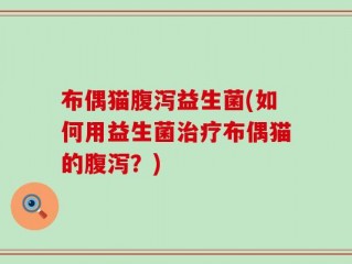 布偶猫腹泻益生菌(如何用益生菌治疗布偶猫的腹泻？)