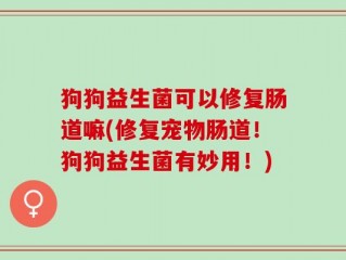 狗狗益生菌可以修复肠道嘛(修复宠物肠道！狗狗益生菌有妙用！)