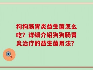 狗狗肠胃炎益生菌怎么吃？详细介绍狗狗肠胃炎治疗的益生菌用法？