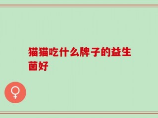 猫猫吃什么牌子的益生菌好