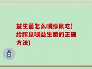 益生菌怎么喂豚鼠吃(给豚鼠喂益生菌的正确方法)