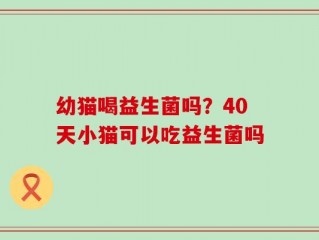 幼猫喝益生菌吗？40天小猫可以吃益生菌吗