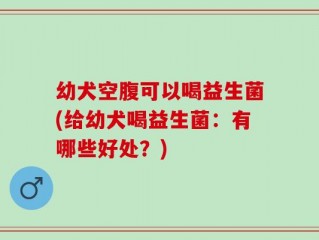 幼犬空腹可以喝益生菌(给幼犬喝益生菌：有哪些好处？)