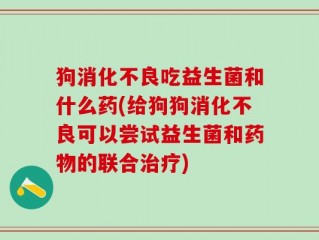 狗消化不良吃益生菌和什么药(给狗狗消化不良可以尝试益生菌和药物的联合治疗)