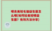 喂食美短毛猫益生菌怎么喂(如何给美短喂益生菌？有效方法分享)